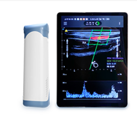 全数字掌上式彩色多普勒超声显像仪Readius L8